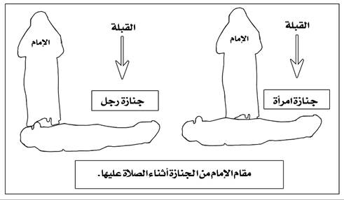 مقام الإمام من الجنازة أثناء الصلاة عليها